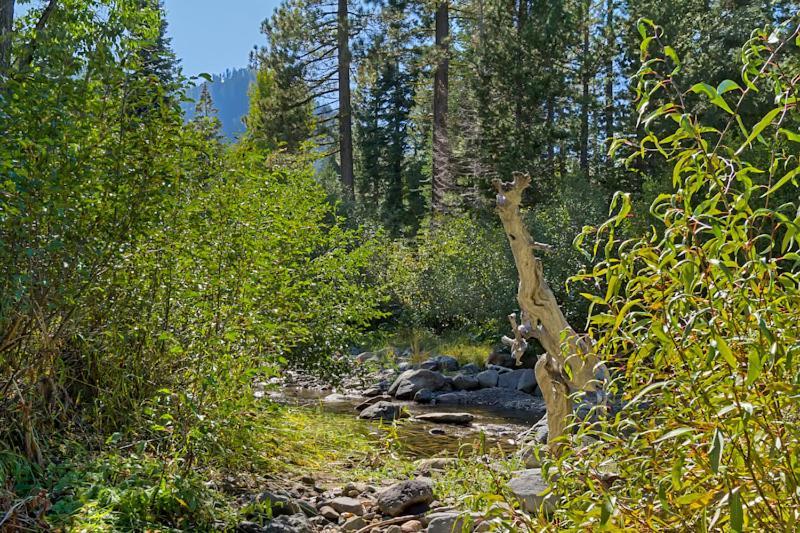 On The Edge At Alpine Meadows - Fireplace- Mountain Views- Great Location! Shuttle Service! Villa Olympic Valley  Exterior photo